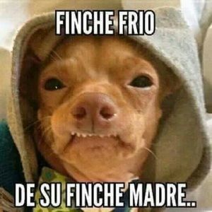 Meet your Posher, Rodolfo